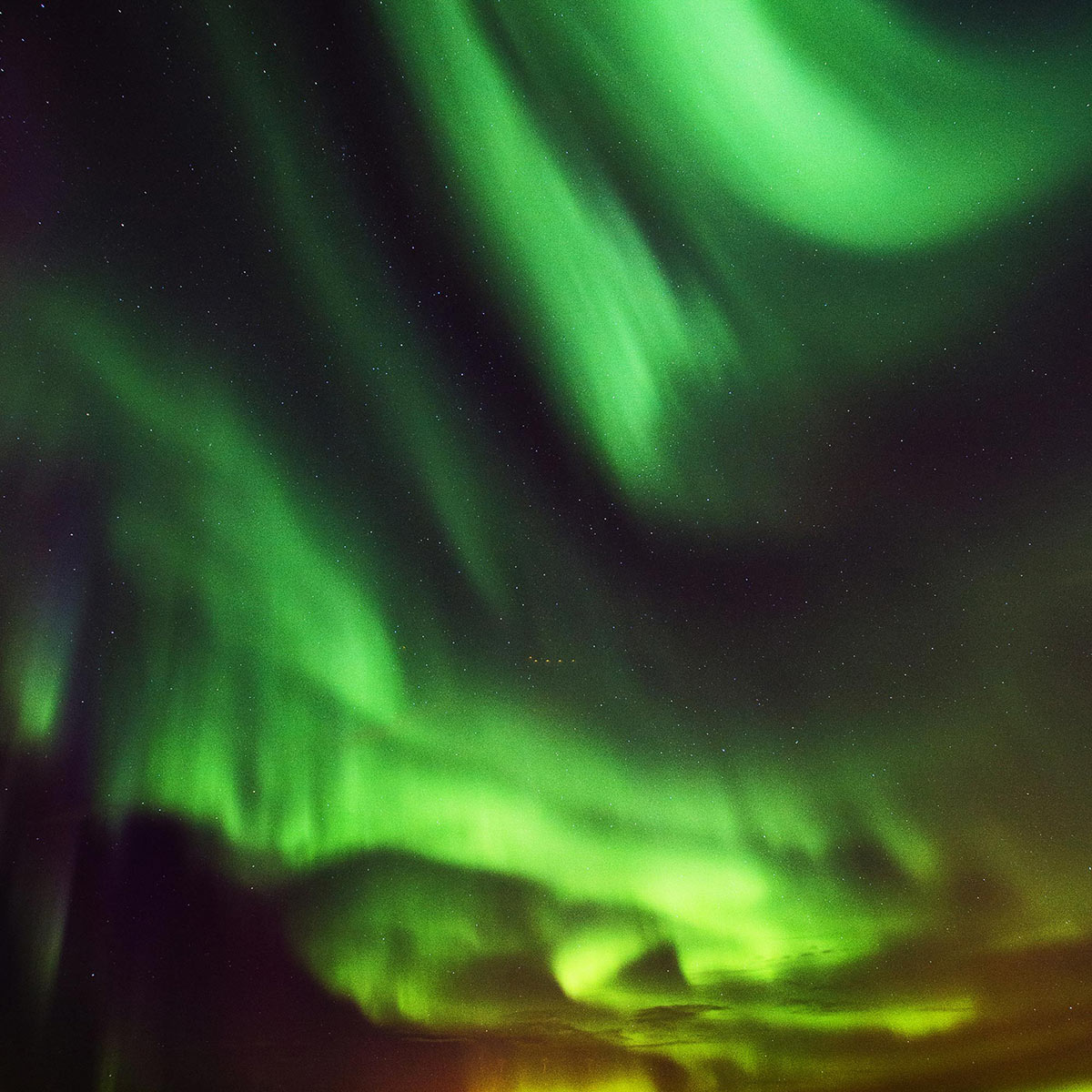 Aurora Adventures for All Ages in Alaska 3 North America display of northern lights in night sky