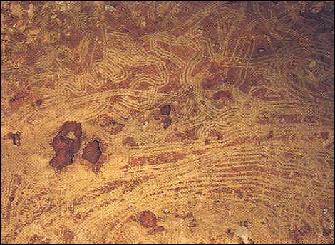 9 Things You Didn't Know about the Northern Lights 6 cave drawing aurora
