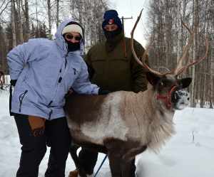 The Northern Lights Alaskan Adventure Starter Pack 3 Packing List For Northern Lights Travel