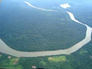 My Summer in the Amazon 2 amazon facebook post 2