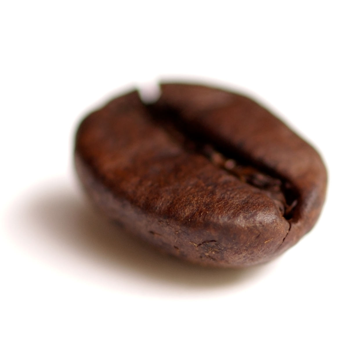 Top Three Tasty Treats from Alaska 3 bean