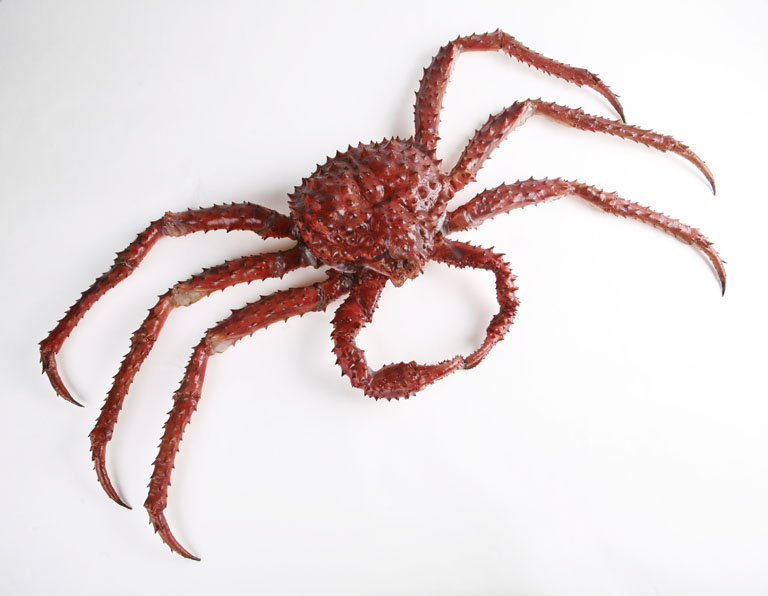 Top Three Tasty Treats from Alaska 4 crab