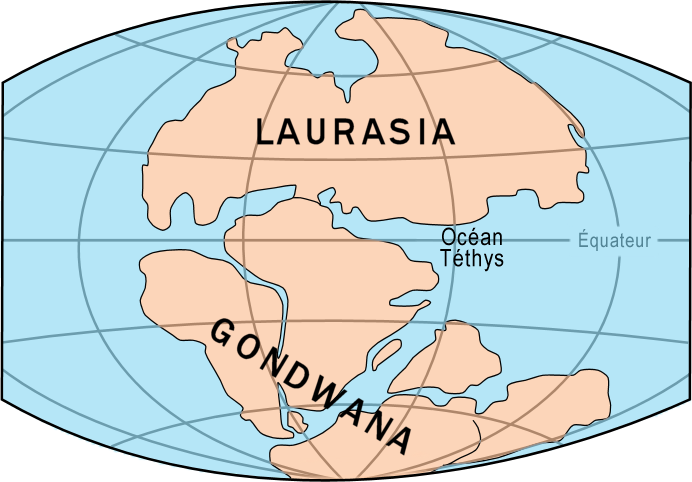 A History of Life: What is Gondwana? 2 What is Gondwana?