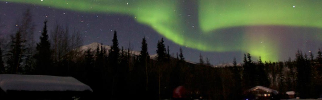 How to See the Aurora Borealis in Alaska: A Complete Guide 4 skyline filled with Northern lights in shades of green in Alaska