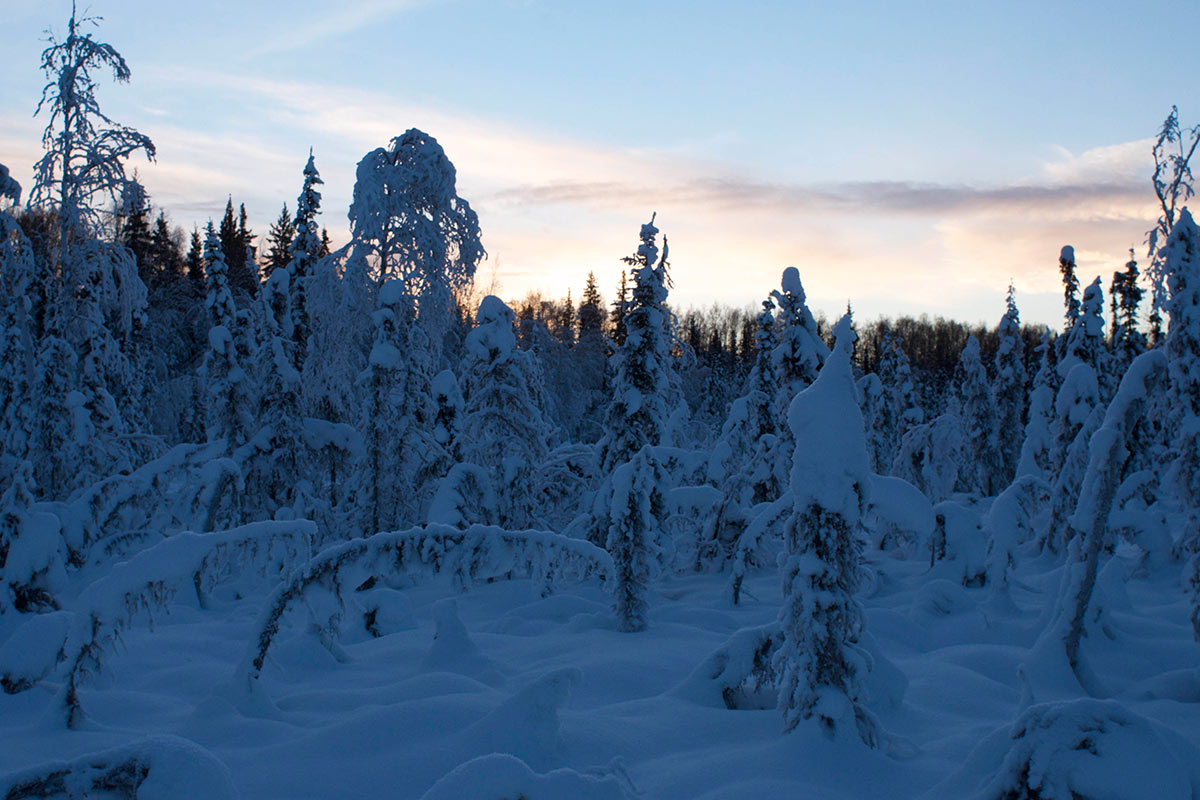 Weirdness of Alaska 3 Alaska in Winter