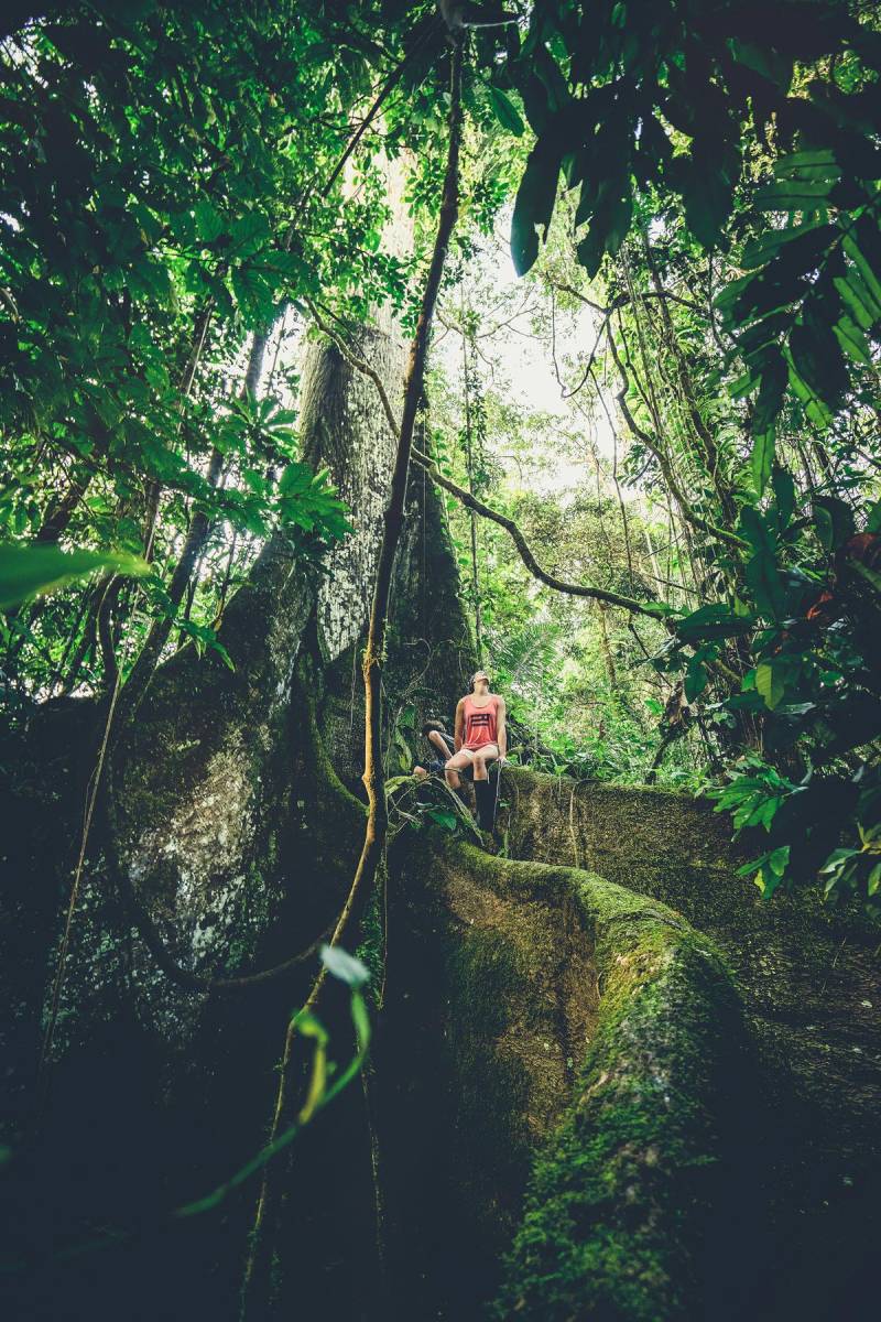 Best Place to See the Amazon 3 Nature Has Deep Roots in Ecuador