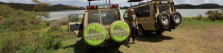 Best & Safest Places to Safari in Africa 47 safest places to safari in Africa