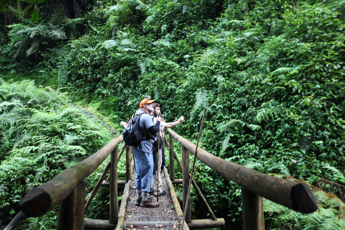 What Are Popular Gorilla Trekking Locations? 5 go gorilla trekking
