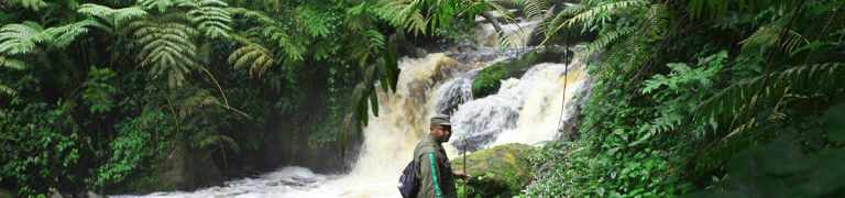 How Fit Do I Need to be for a Gorilla Trekking Tour? 27 gorilla trekking hikes
