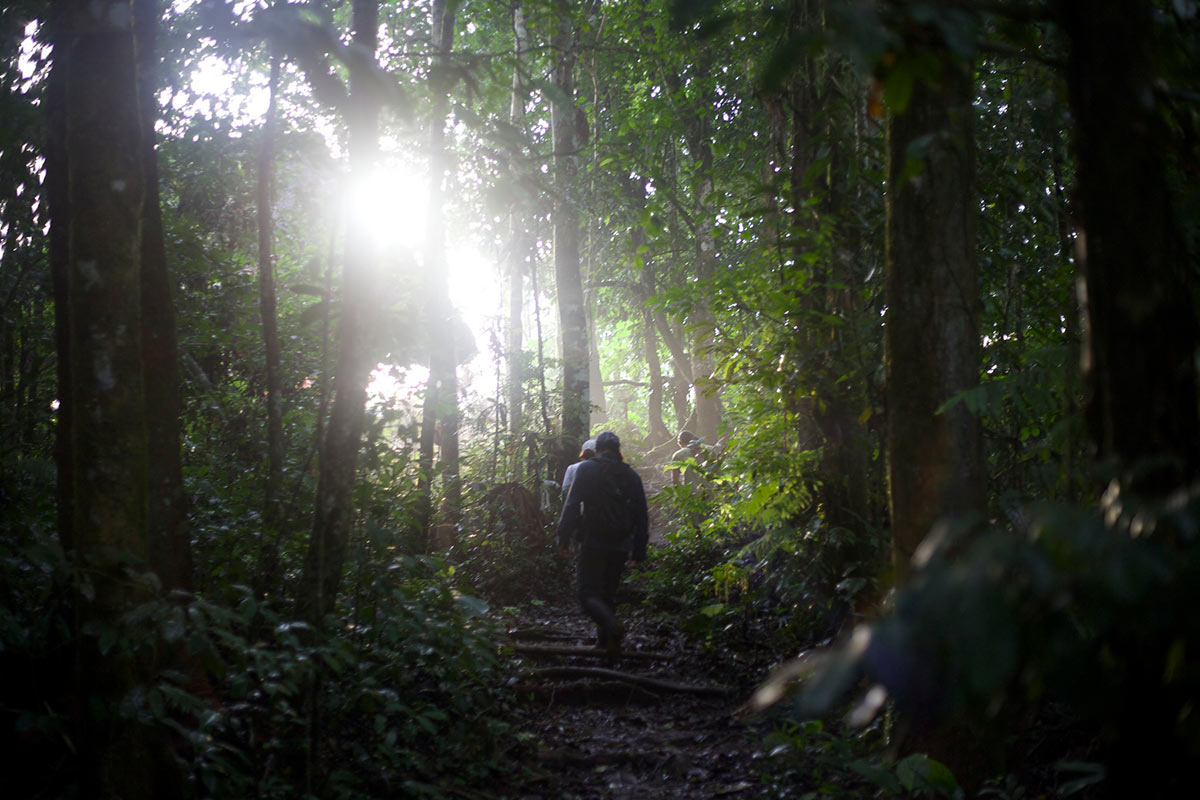 Anthem For the Amazon Rainforest 2 hiking through the amazon
