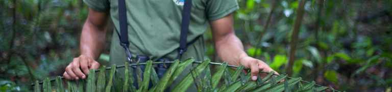 Go Tribal: Vacations & Travel Magazine Feature 8 indigenous people of the Amazon