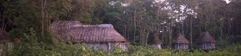 Travel the Amazon on a Historic Explorer's Route 6 travel the amazon