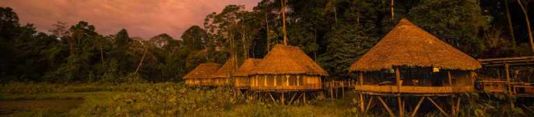 Anthem For the Amazon Rainforest 47 Subject of the Anthem for the Amazon