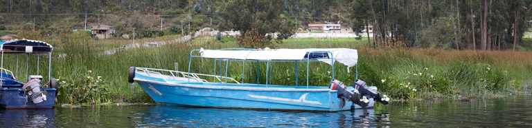 Fun Pink River Dolphin Facts 31 Pink River Dolphin Facts