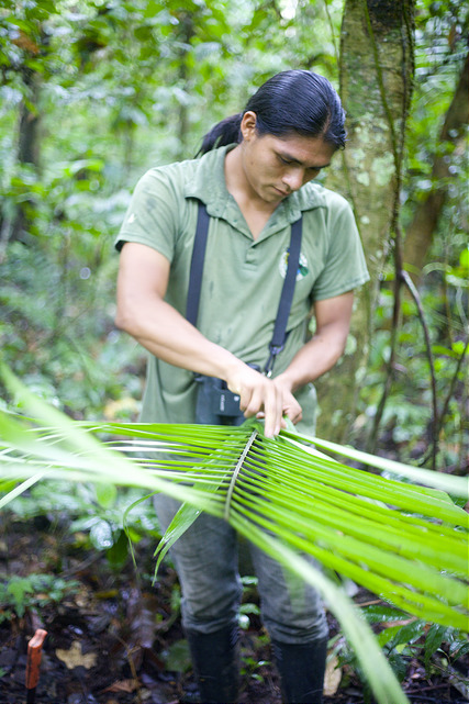 Eco-Footprint Travel 3 eco-footprint