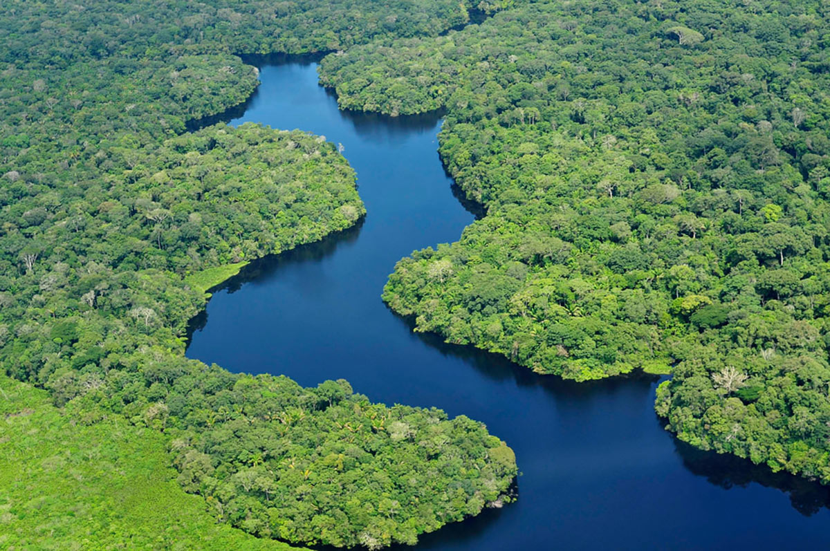 River of Gold-A Documentary 2 Brazilian Amazon