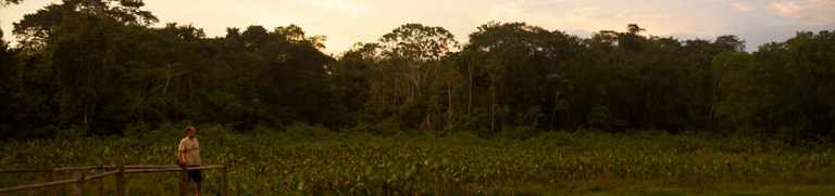 Best Place to See the Amazon 13 Best Place to see the amazon