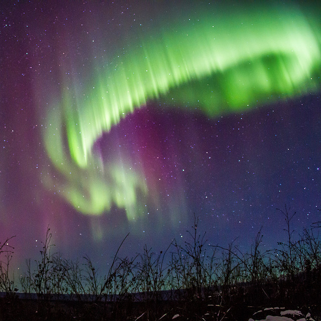 Gondwana Press: Take Mom to Alaska! 3 Northern Lights Alaska