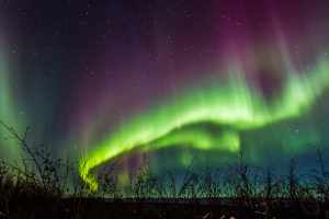 Chris Cruises Feature: Northern Lights Ecotour 4 Northern Lights Ecotour