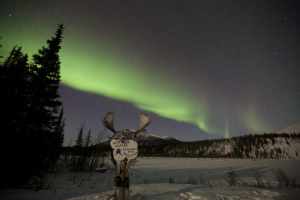 Double Feature: Winter Travel 4 winter travel