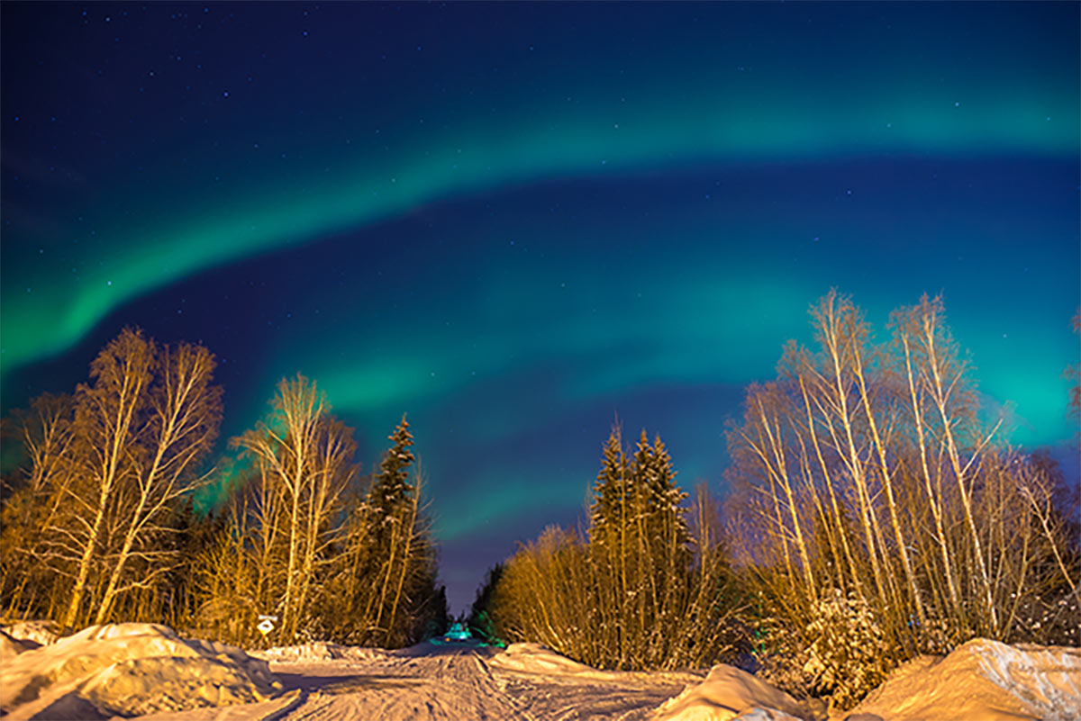 Seeing the Northern Lights in December: Alaska Travel Guide 4 Aurora borealis in Alaska over forest
