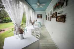 The LA Times Loves Our Cajun Tours! Swamps, Plantations and More! 5 Cajun Tour Lafayette