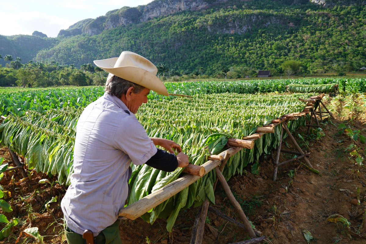 Can't Miss Spots on Our Cuba Tour & Exciting New Press! 3 Cuba Tour
