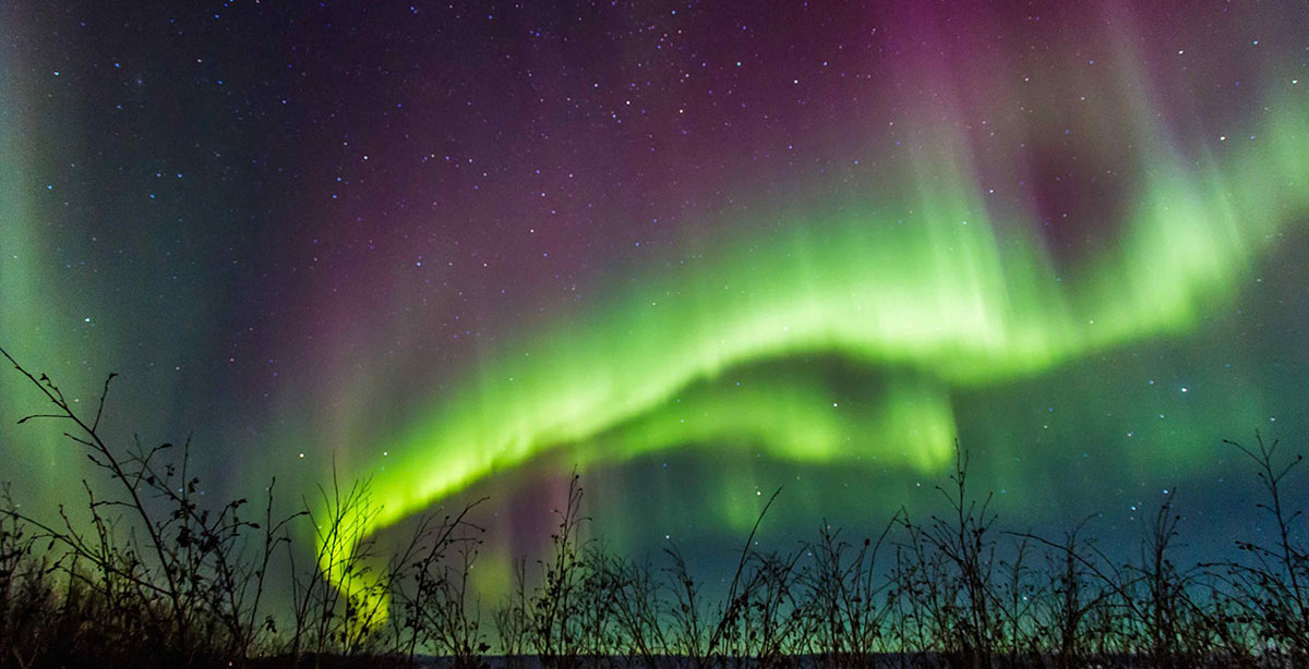 Extraordinary Northern Lights Experiences in Alaska 3 Aurora borealis in green and purple through dark Alaskan sky