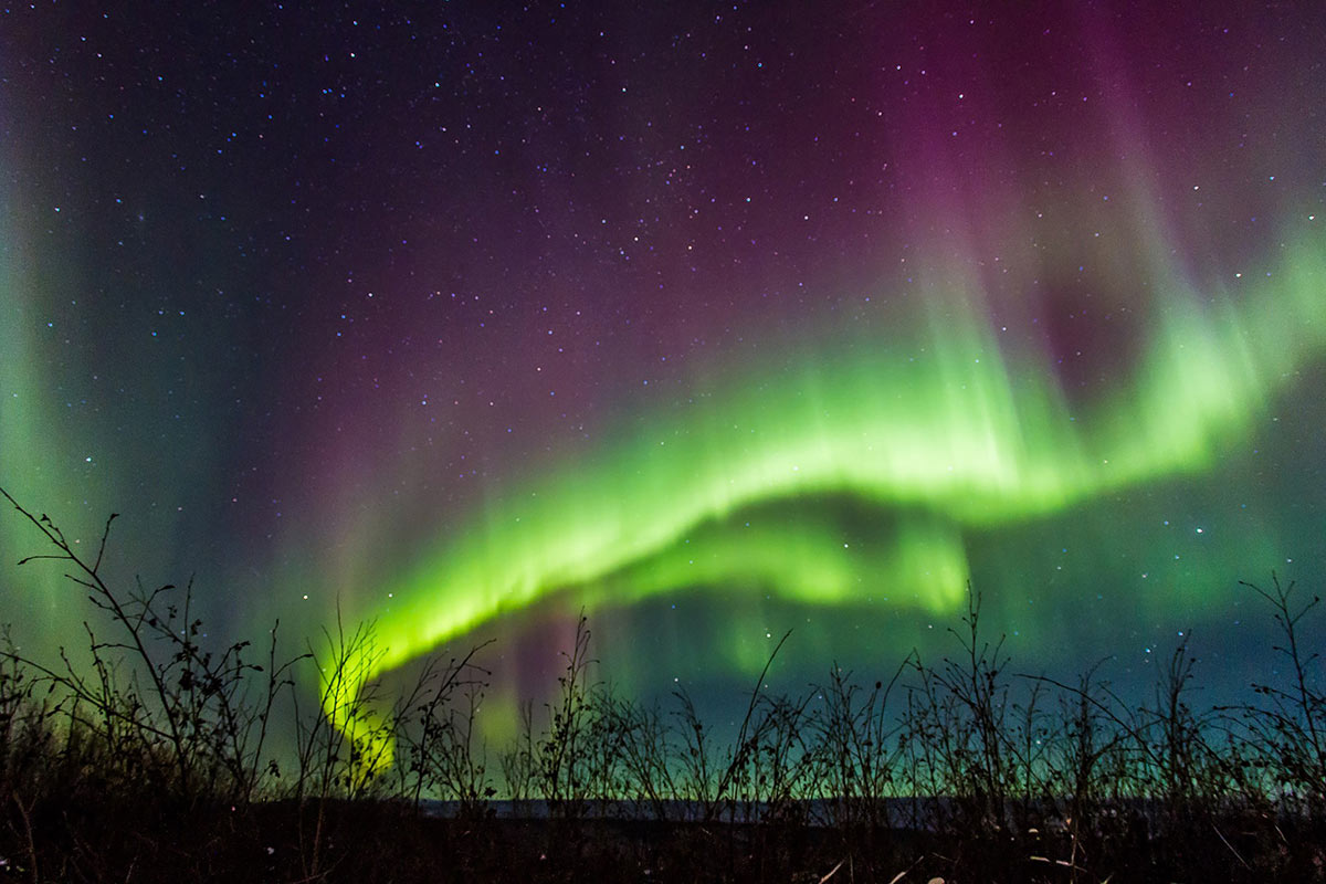 5 Best Places to See the Northern Lights in Alaska 3 greena and purple ribbons of aurora borealis in Alaskan night sky