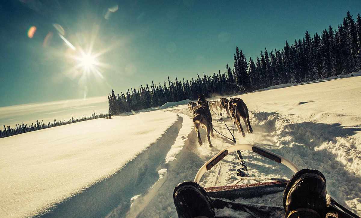 Fall 2017 Aurora Update + Press from Travel & Leisure Magazine 3 alaska aurora dogsledding