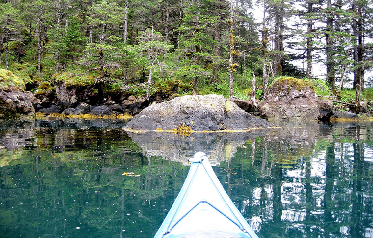 The Best of Alaska in the Summer 5 Kayaking is amazing in Alaska