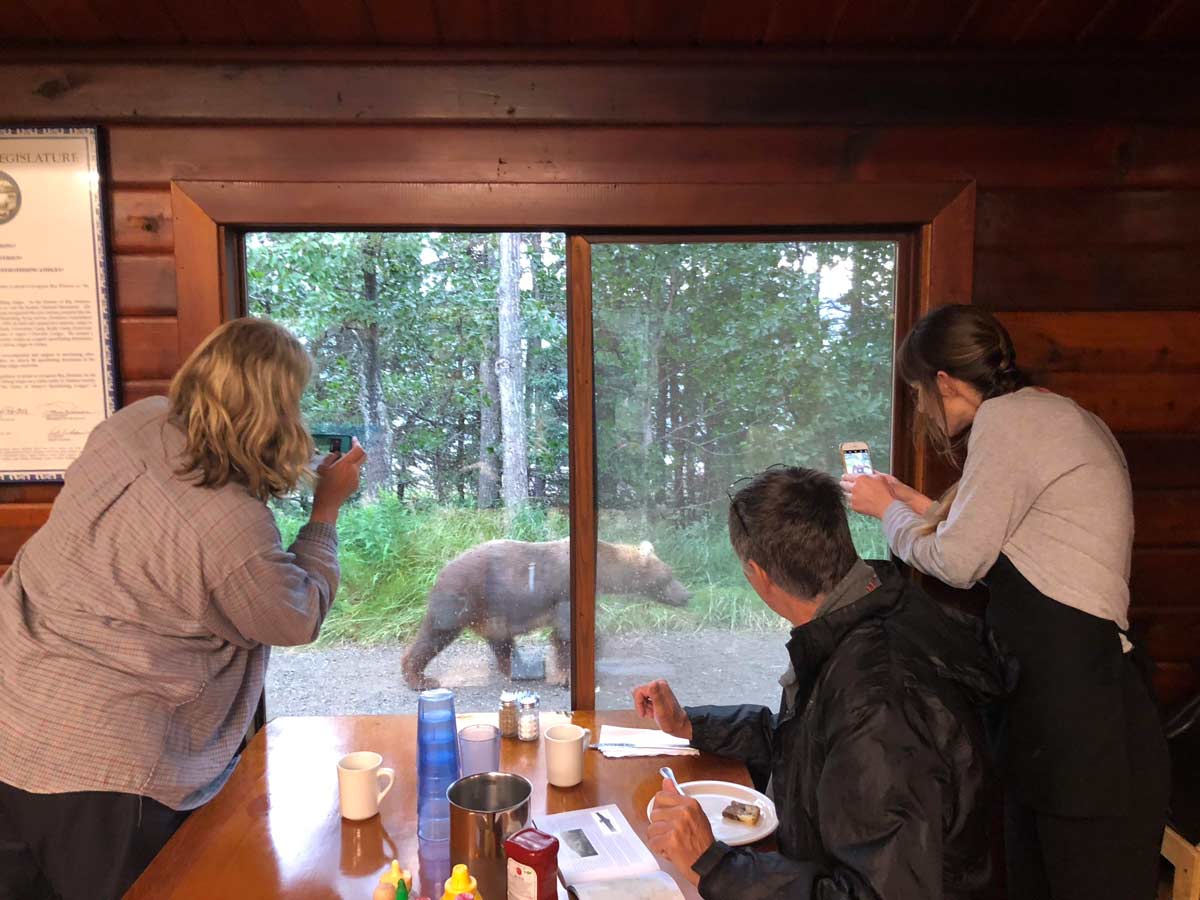 Gondwana Press: Take Mom to Alaska! 2 wild alaska
