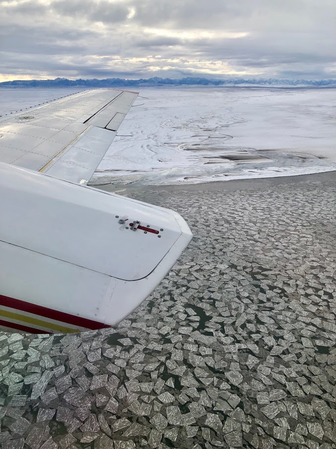 Last-Chance Tourism? 4 Polar Bear Tour Photo