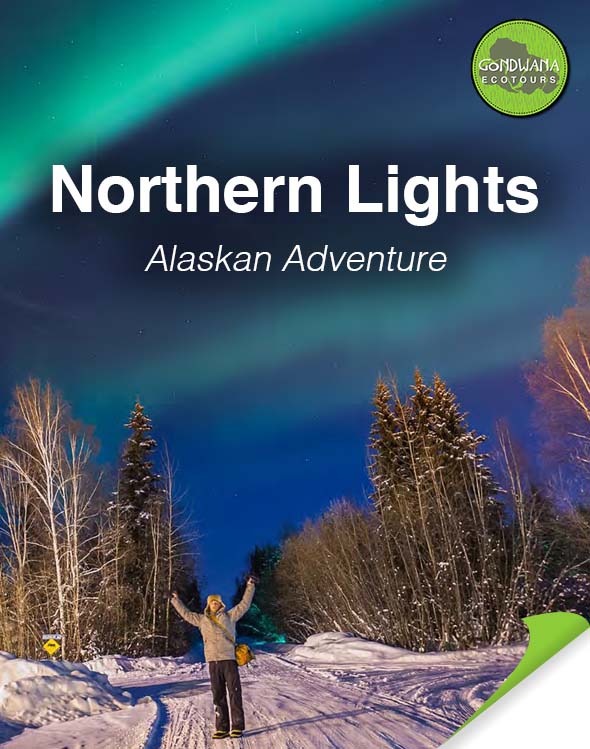 FAQ for Northern Lights Adventure Itinerary Changes 1 Northern Lights Brochure