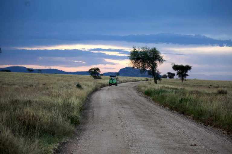 Game Drives? 27 Tanzania Safari Game Drive