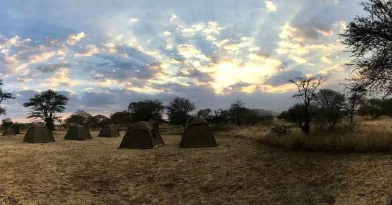 Tanzania - Great Migration Camping Safari 25 Gondwana Ecotour's campsite in the early morning on our Great Migration Camping Safari.