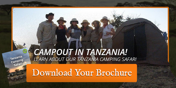 Safest Places To Go On Safari In Africa 3 tanzania camping vacation trip