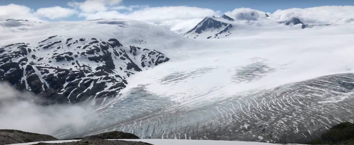 Alaska’s Exit Glacier 4 Photo of the Harding Ice Field Alaska on Gondwana Ecotour's Glaciers & Grizzlies Adventure.