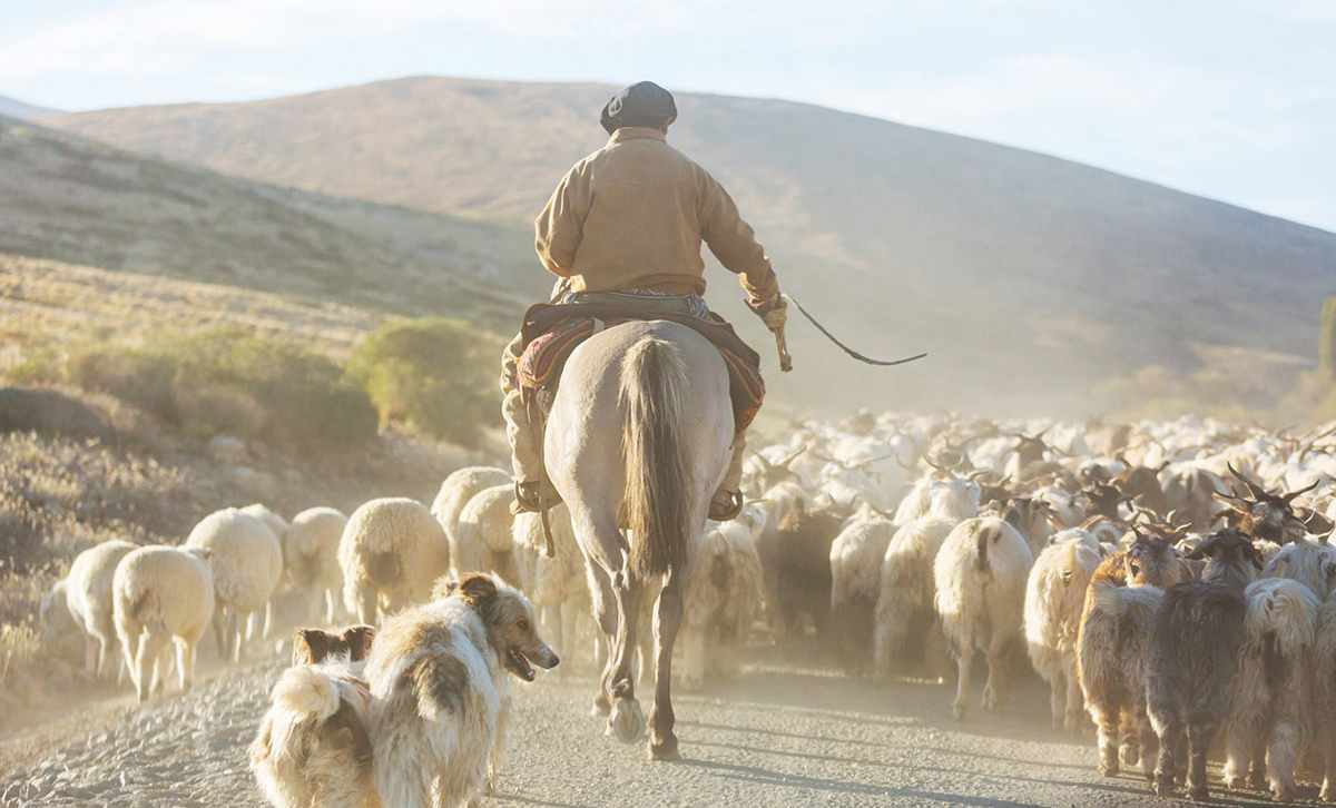 7 Reasons Argentina Is One of the Best Countries to Visit in South America 4 Gaucho in the Patagonia mountains, Argentina
