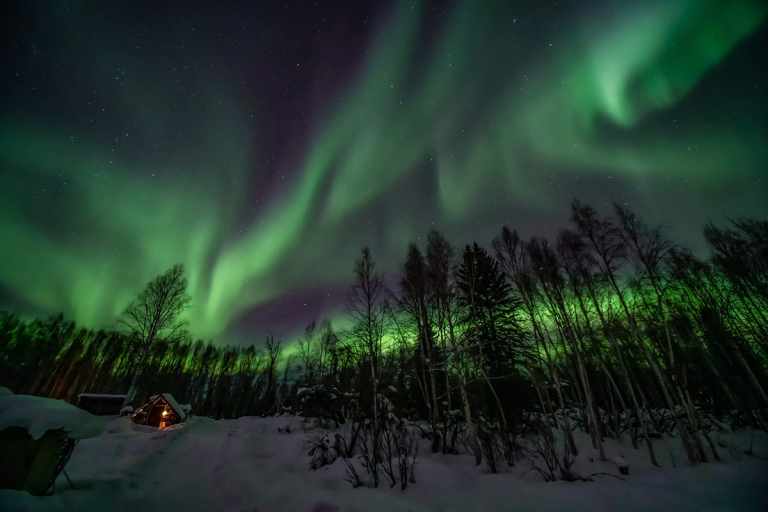 Tour Guides As Voices Of Sustainability 8 Northernlights3