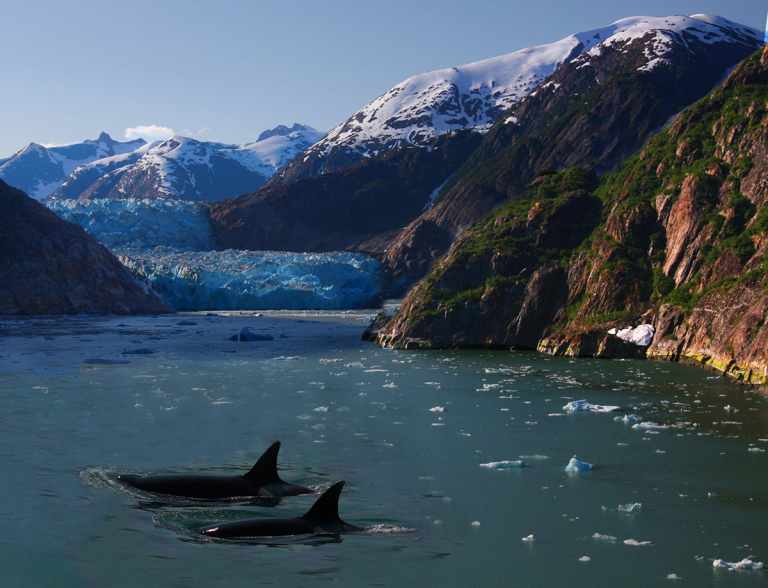 Alaska Adventure Tours 20 4405408010 7a698cf9f0 o 1