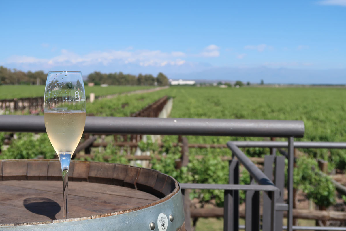 The Best Mendoza Tour and Vacation 1 A glass of bubbles by the vineyards of Mendoza, Argentina