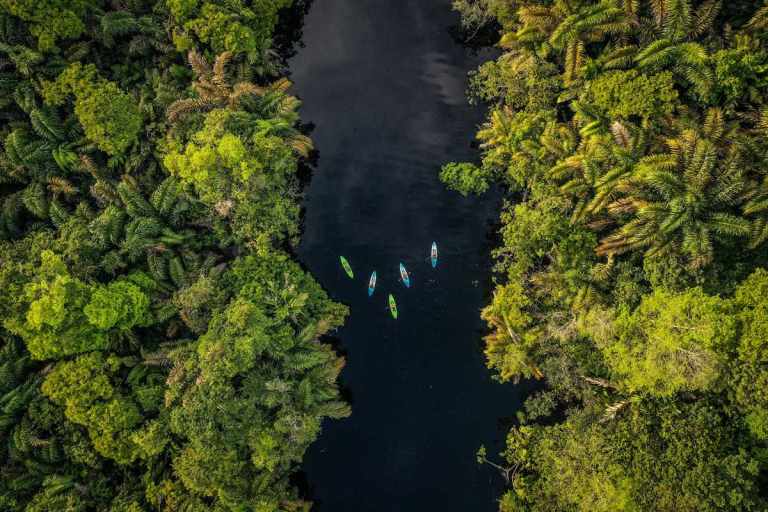 The Biodiverse Wonders of the Osa Peninsula 4 Kayaking Costa Rica Canals