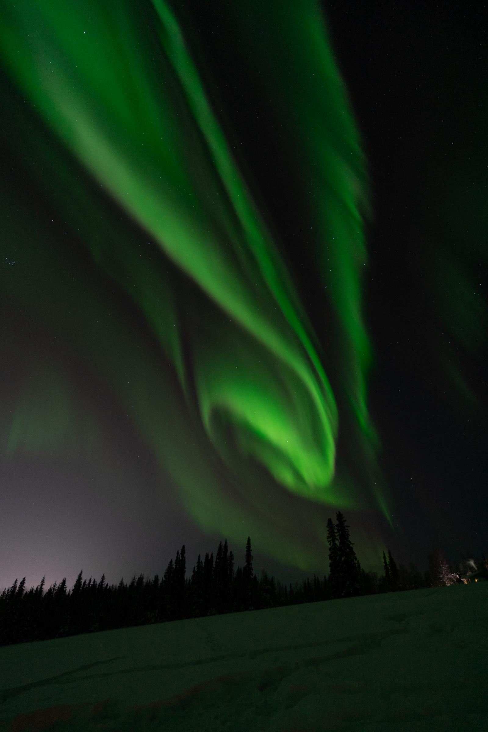 Amazed by the Northern Lights 2 Aurora Borealis Starry Skies Fairbanks
