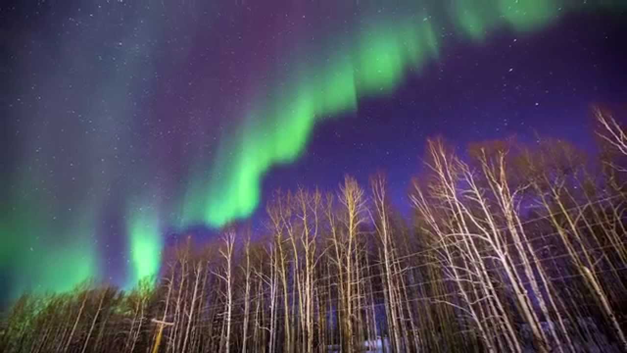 Plan an Alaska Aurora Viewing Adventure 4 ribbons of northern lights in Alaska over treeline