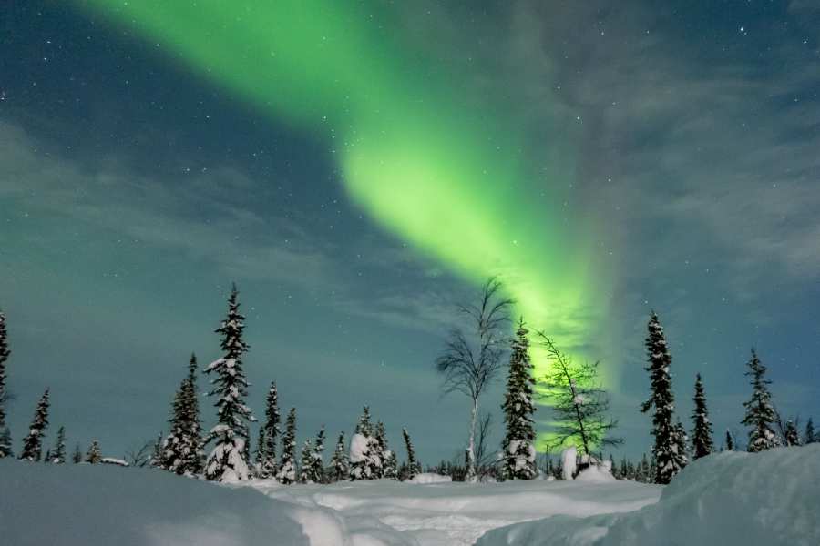 Chasing the Northern Lights in Alaska During November 3 Brights shades of color in northern ligths