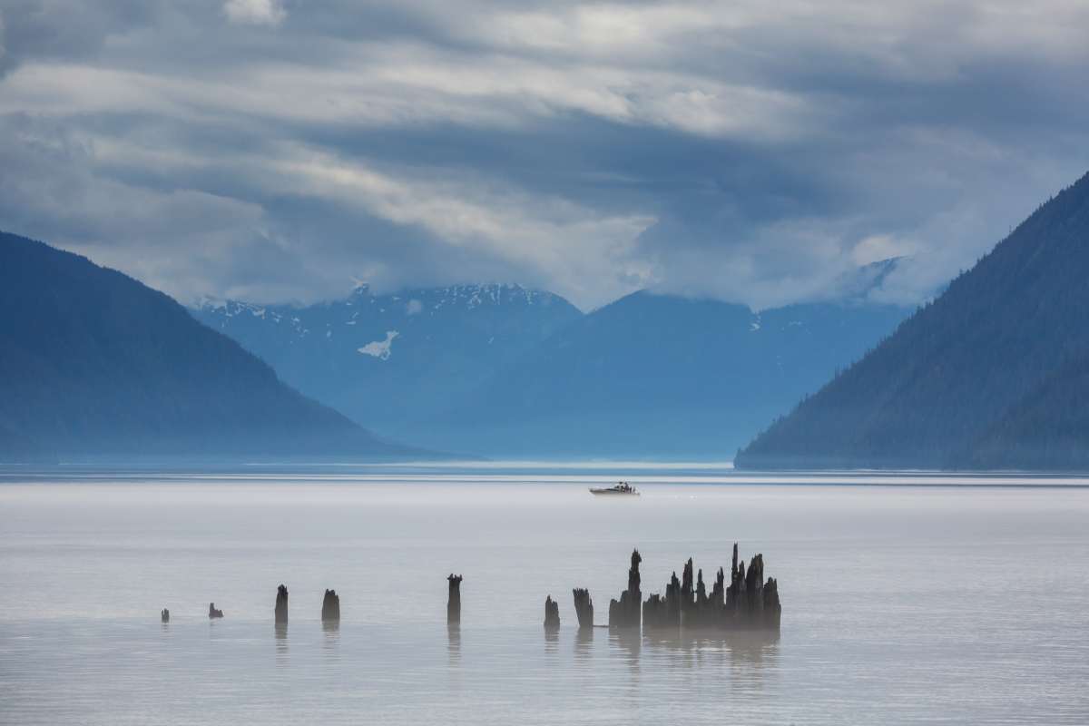 Are Alaska Discovery Tours Budget-Friendly? 4 Travel Alaska by cruising the coastline