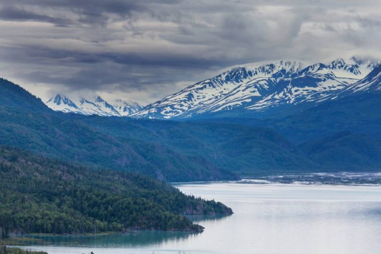 Gondwana Ecotours In 'The Nomad Almanac' 4 alaska landscape