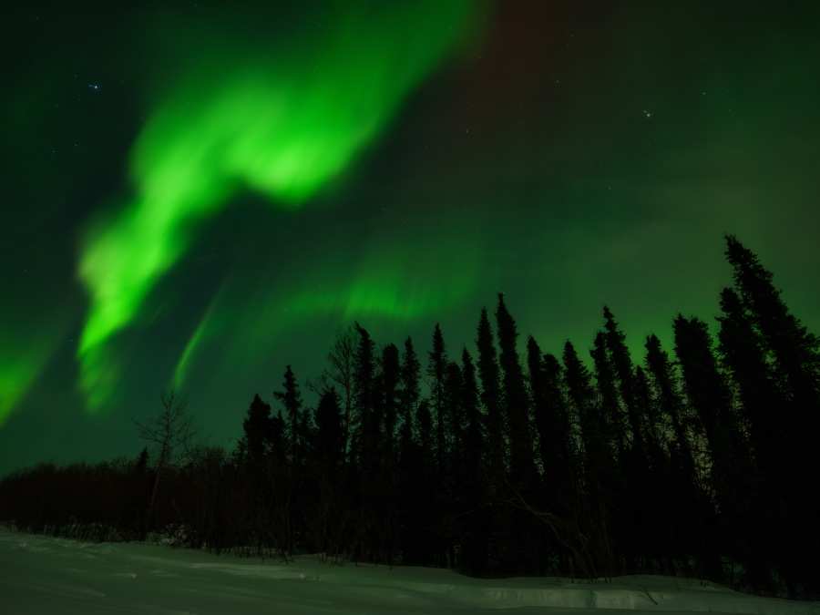 Chasing the Northern Lights in Alaska During November 4 Northern Lights over treelines in Alaska