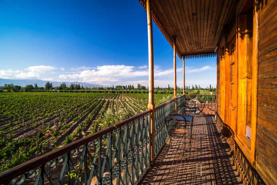 8 Ways to Celebrate Earth Day This Year 2 balcony-with-table-and-chairs-overlooking-vineyard